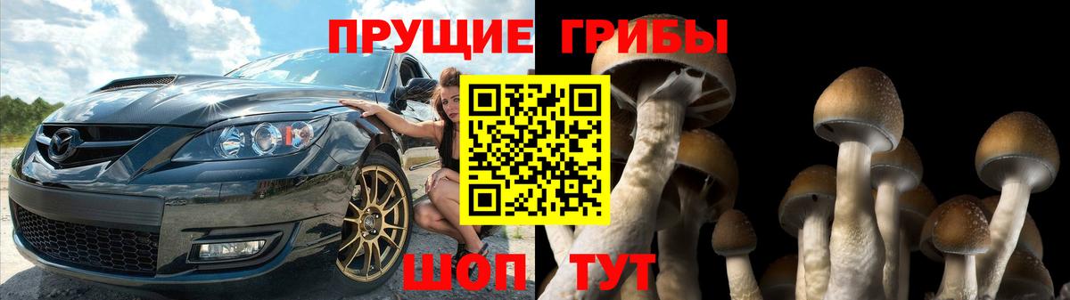 Минусинск  Псилоцибиновые грибы ЛСД  Вход с VPN 